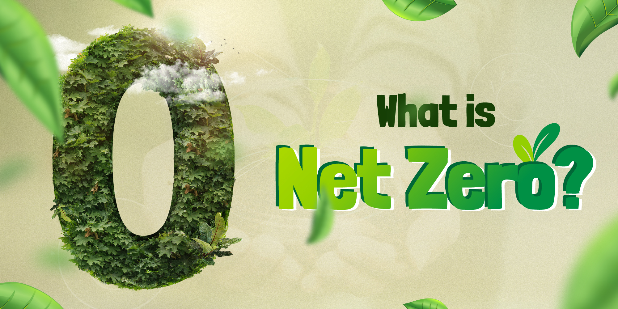 What Is Net Zero NIST Global Pvt Ltd
