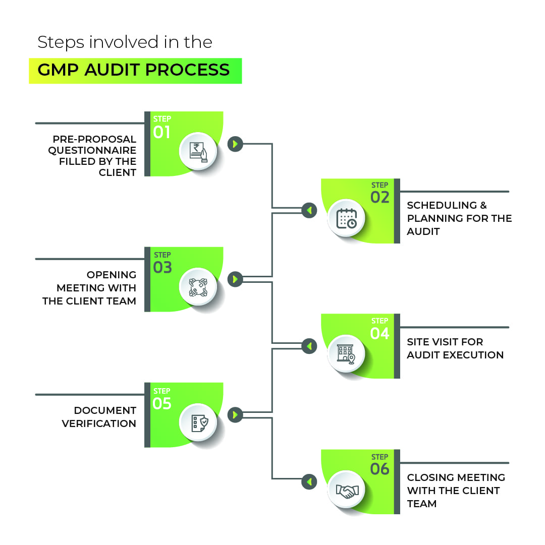 the-various-steps-involved-in-the-gmp-audit-process